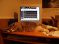 lars on desk vista.jpg